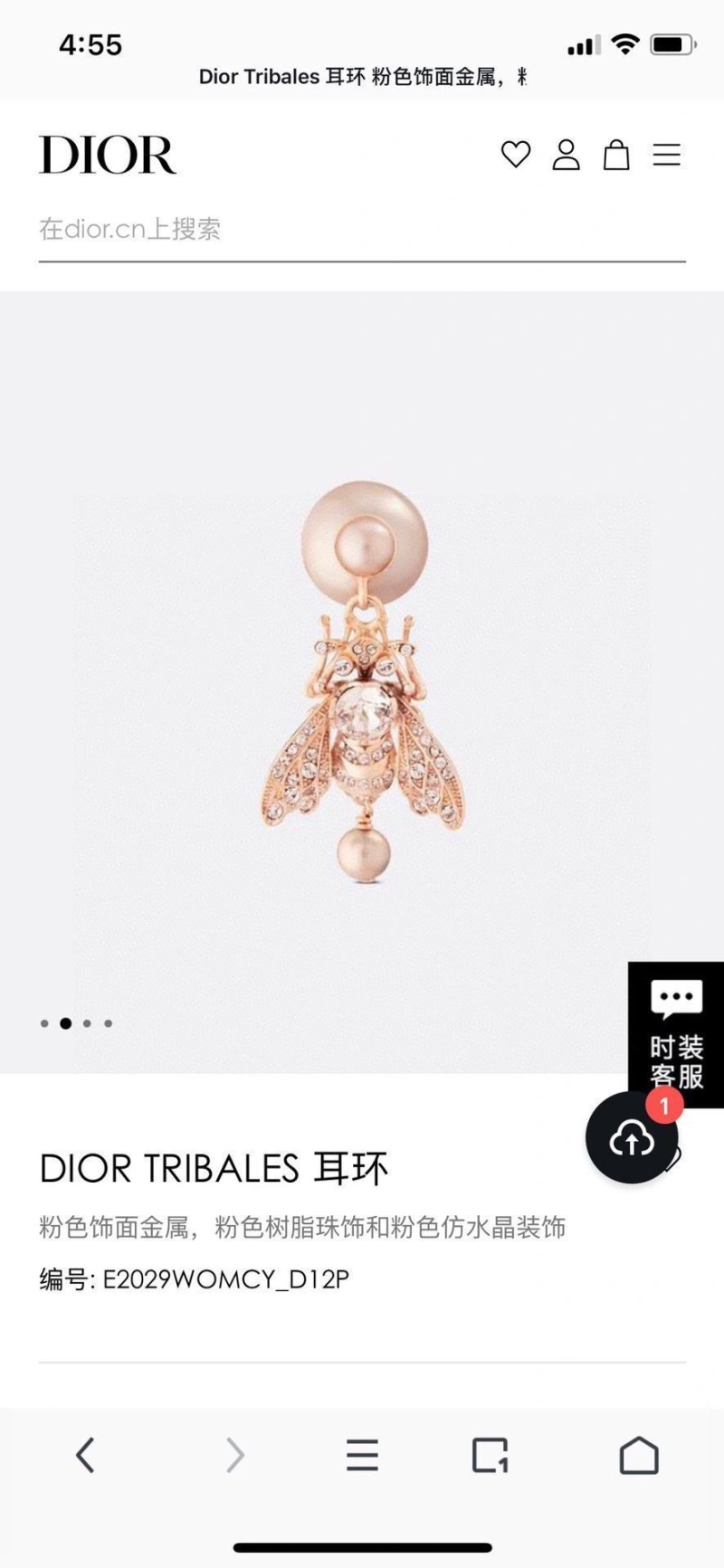 Christian Dxxr Earrings GoAnywhere 294912