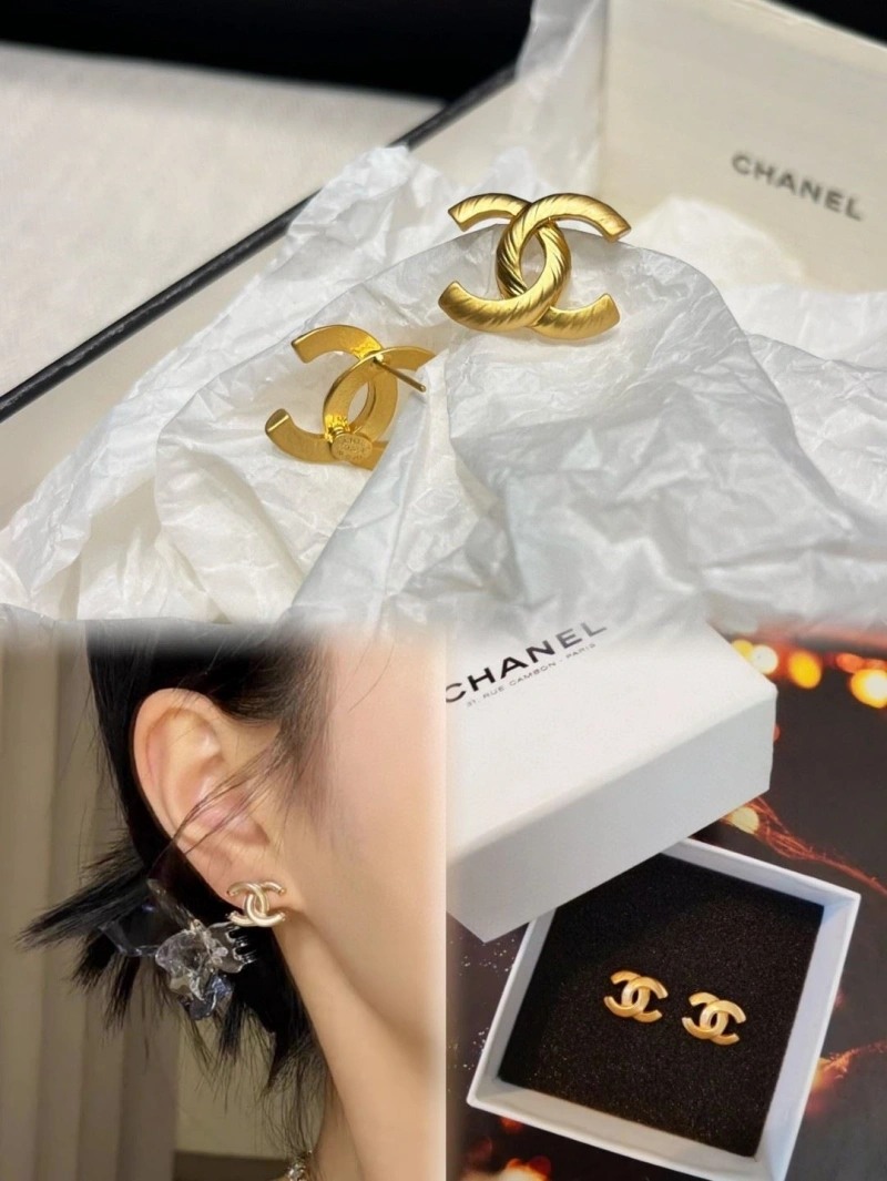 GoAnywhere Chxnxl Earrings 288986