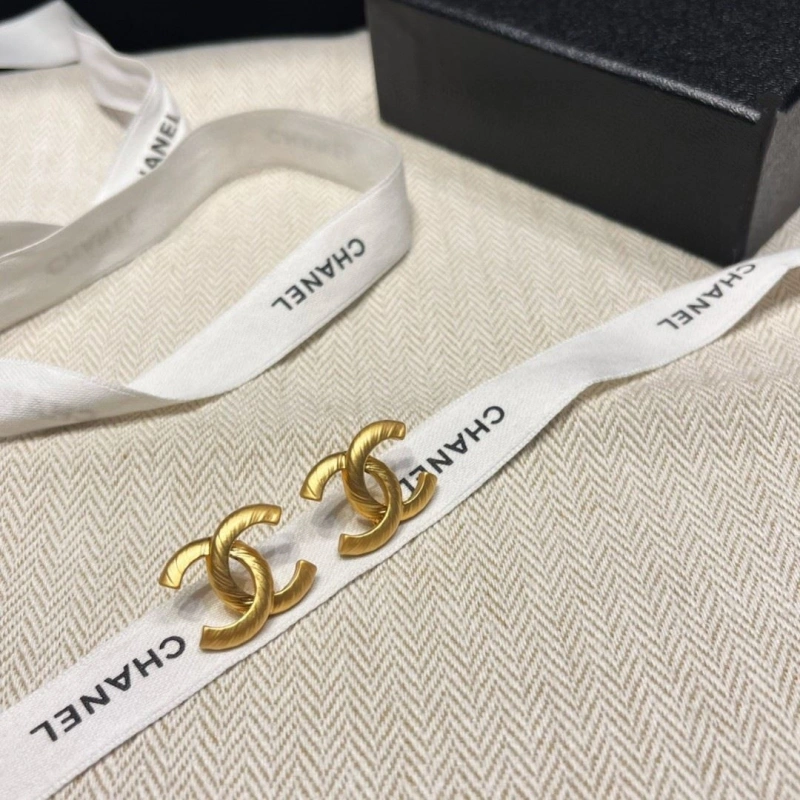GoAnywhere Chxnxl Earrings 288986