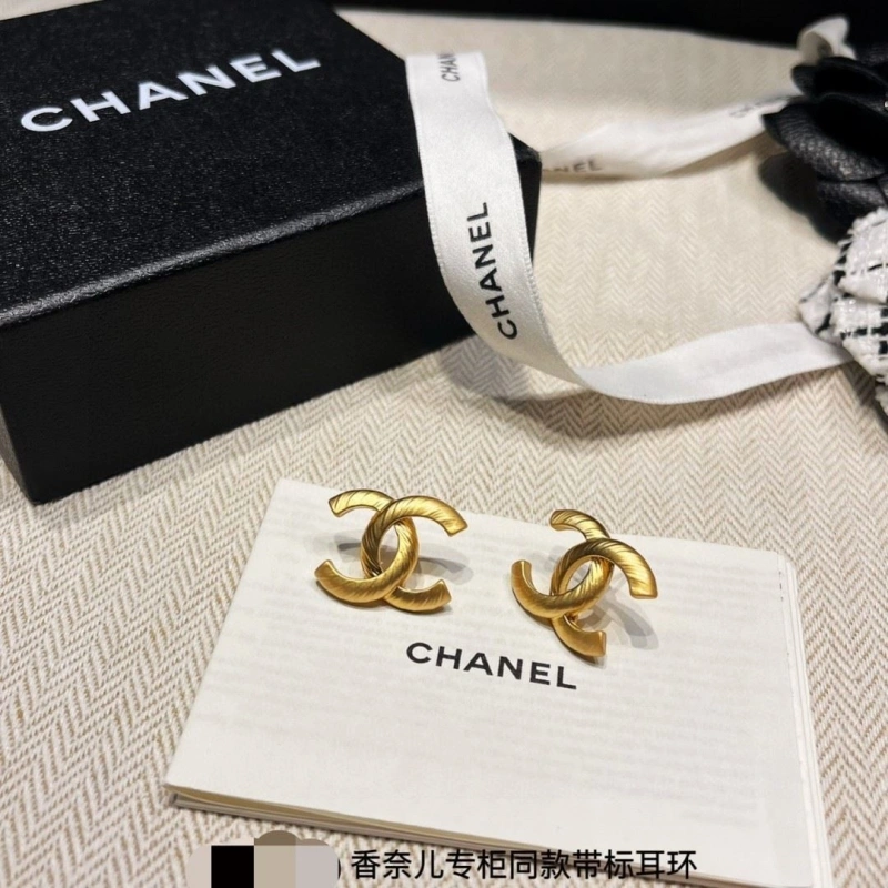 GoAnywhere Chxnxl Earrings 288986