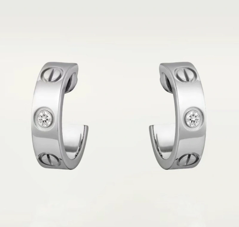 Flexible LX Earrings 311036