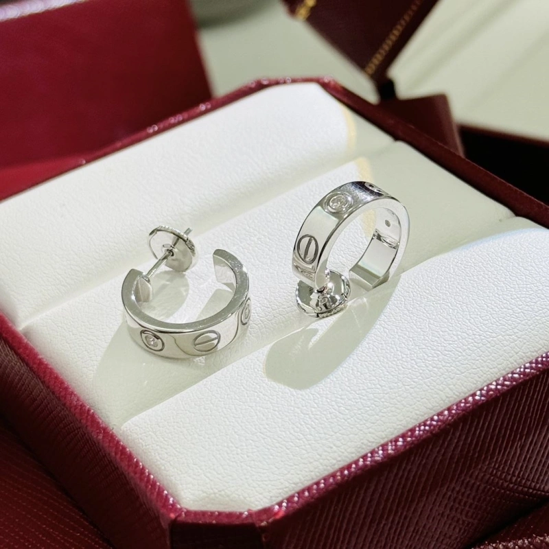 Flexible LX Earrings 311036