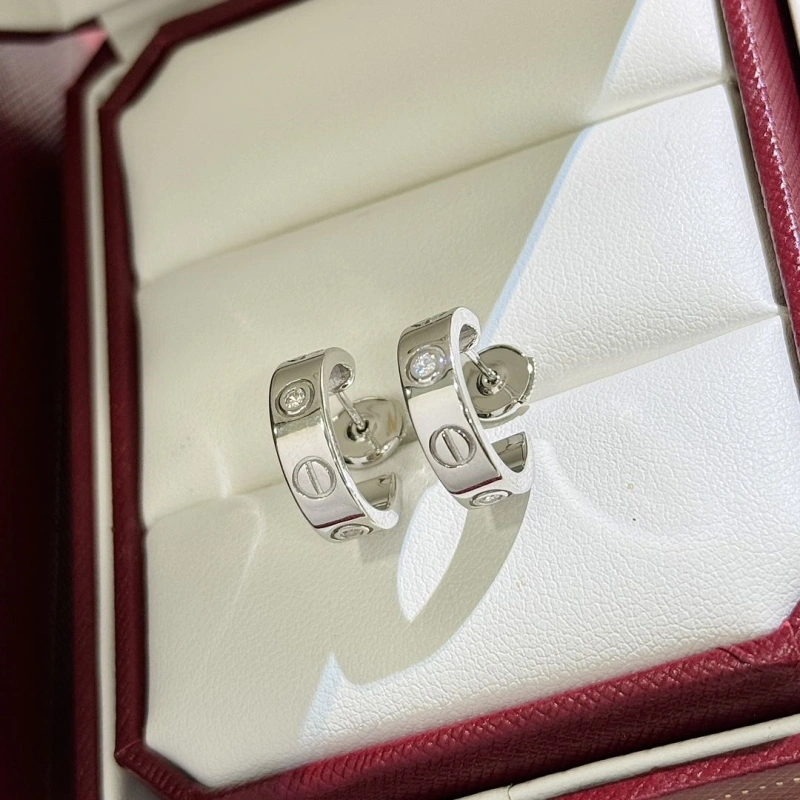 Flexible LX Earrings 311036