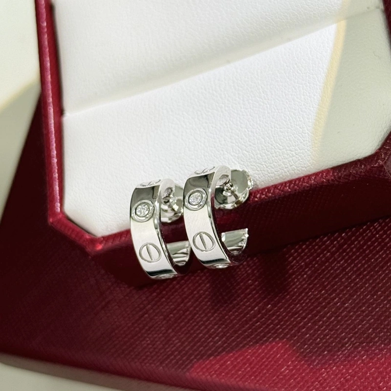 Flexible LX Earrings 311036