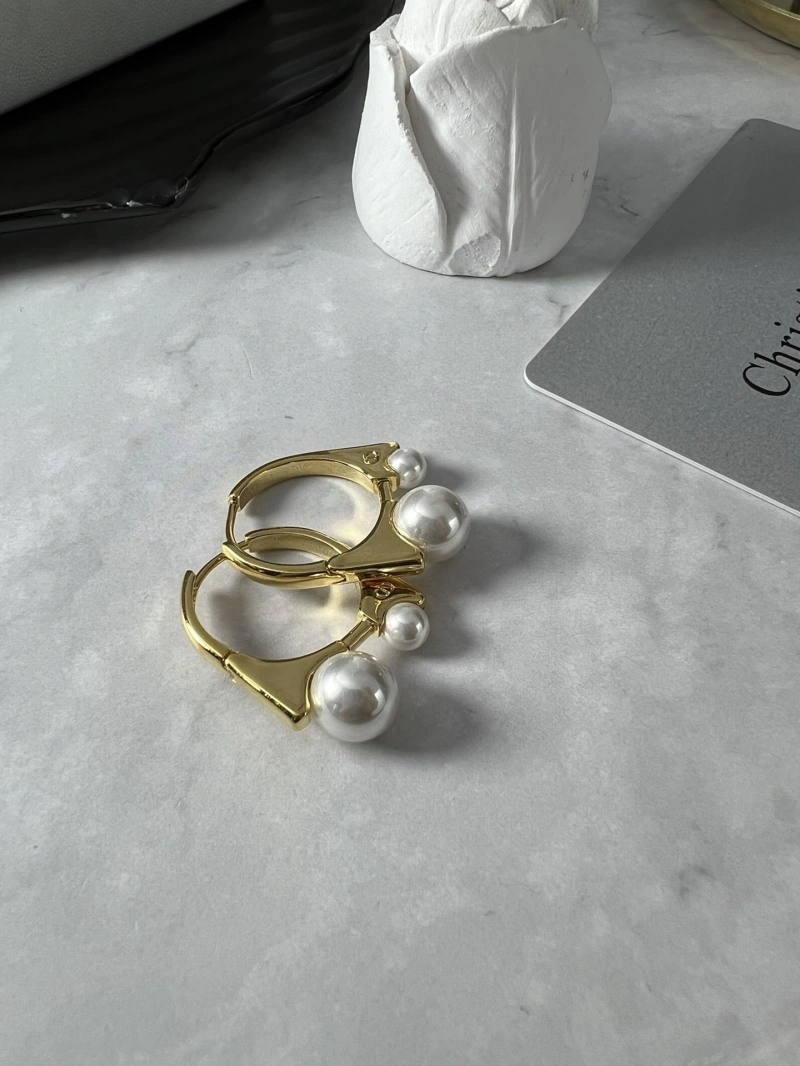 Christian Dxxr Earrings Compact 294867