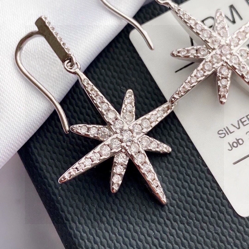 Axm Earrings StreetReady 281706