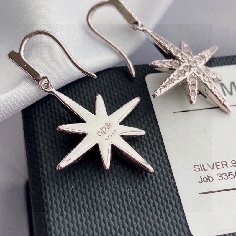 Axm Earrings StreetReady 281706
