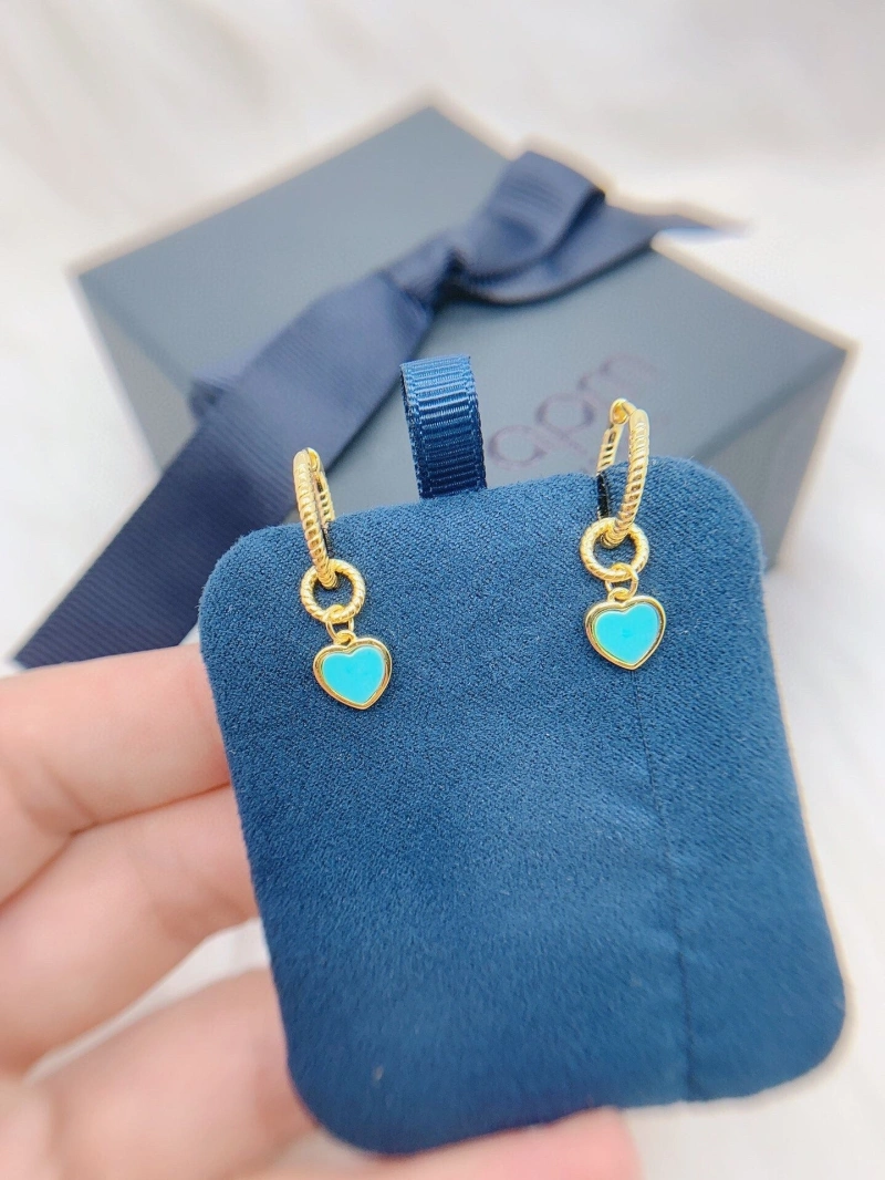 Axm Earrings Functional 281713