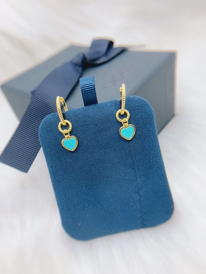 Axm Earrings Functional 281713