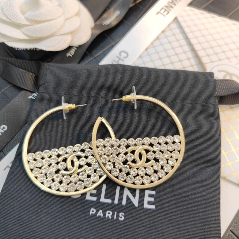GoAnywhere Chxnxl Earrings 288911