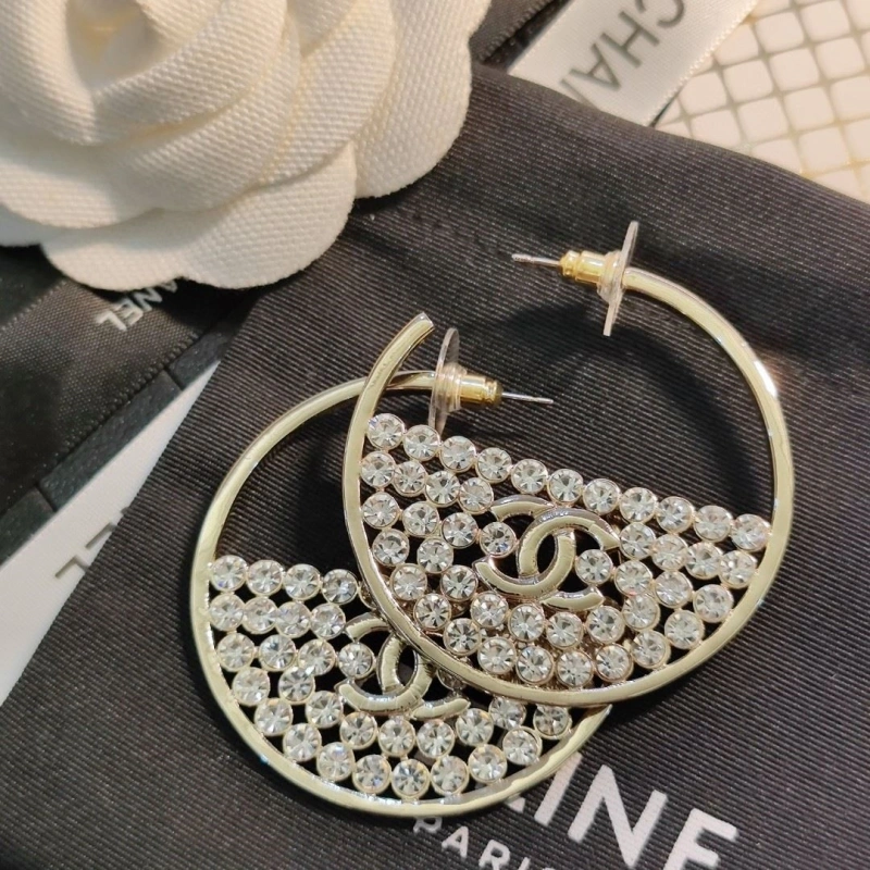 GoAnywhere Chxnxl Earrings 288911