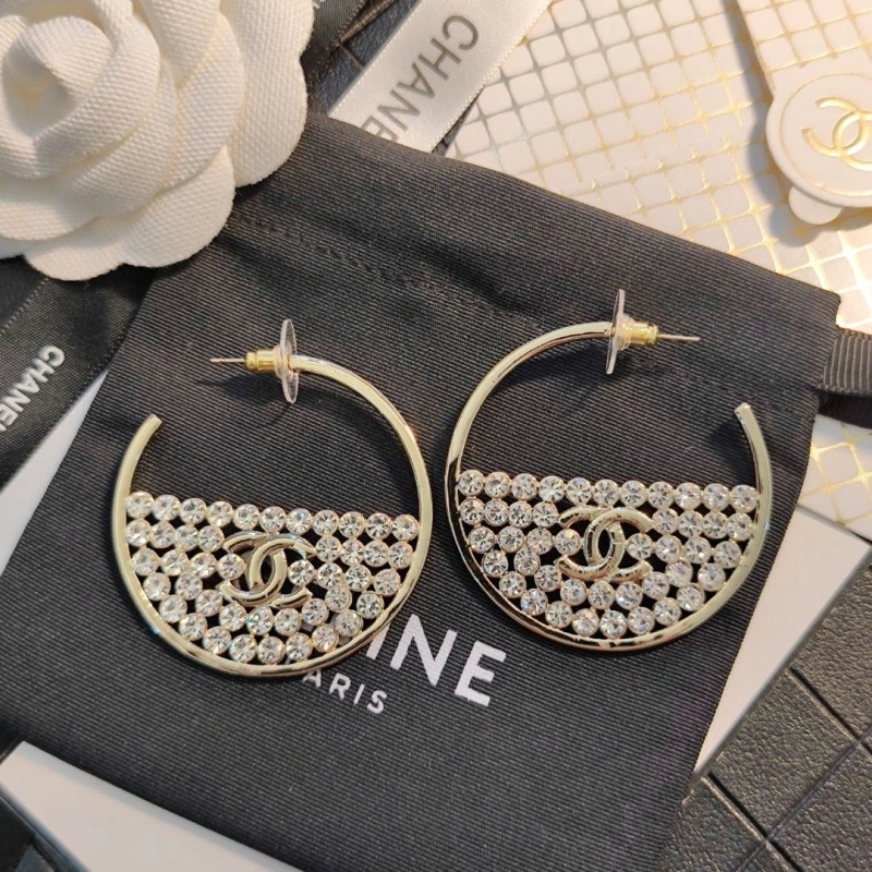GoAnywhere Chxnxl Earrings 288911
