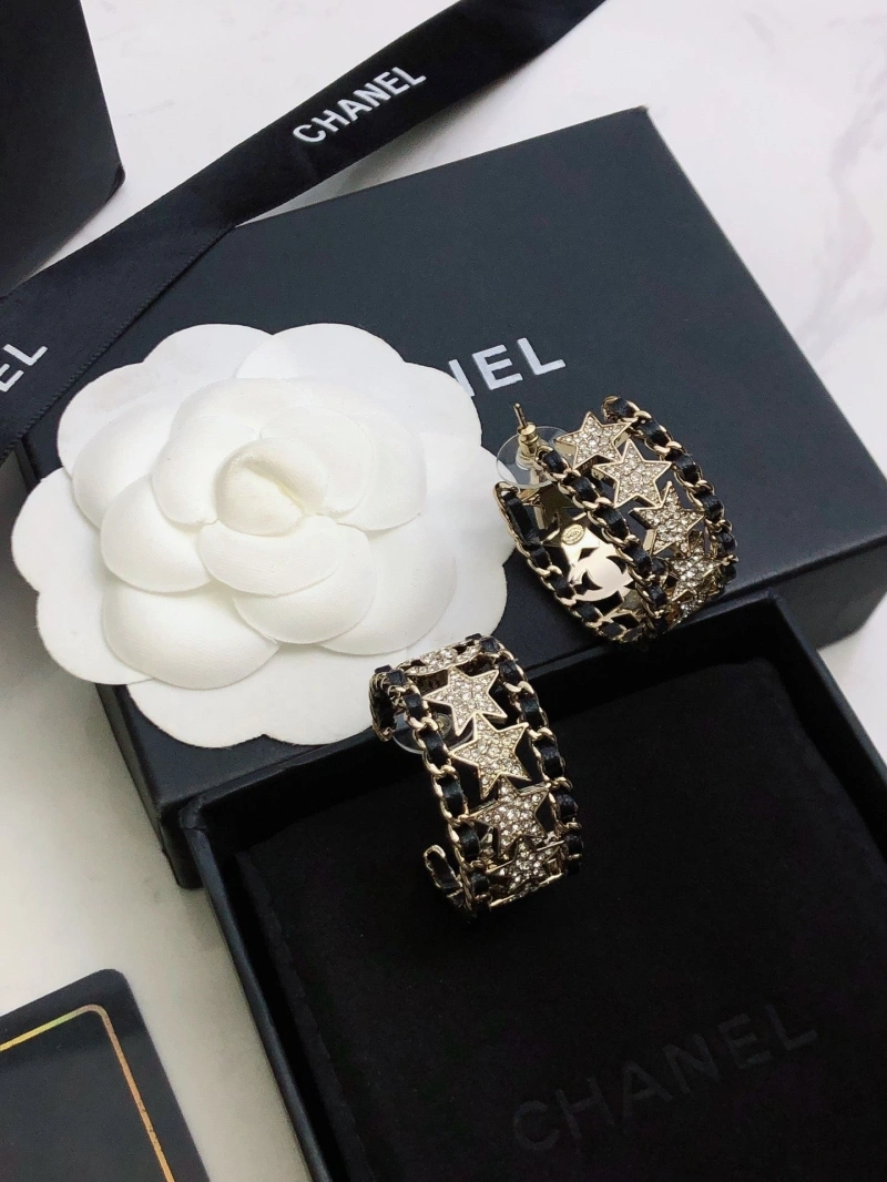 GoAnywhere Chxnxl Earrings 288892