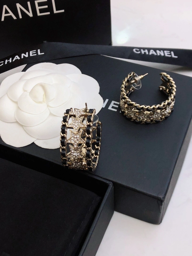 GoAnywhere Chxnxl Earrings 288892