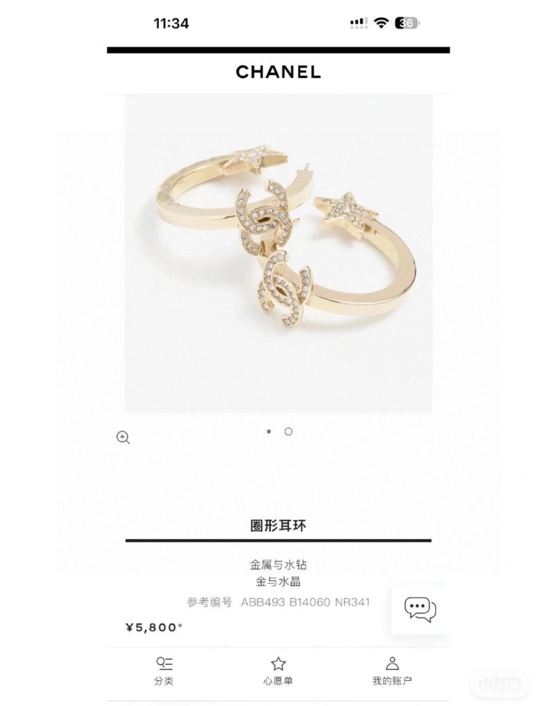 Sophisticated Chxnxl Earrings 288906