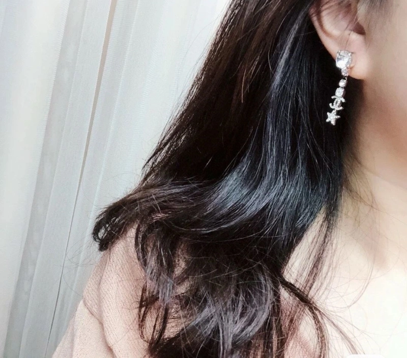 Chxnxl Earrings Practical 288895