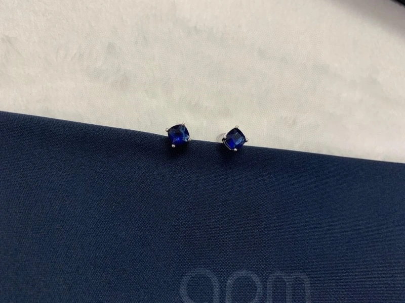 Timeless Axm Earrings 281695