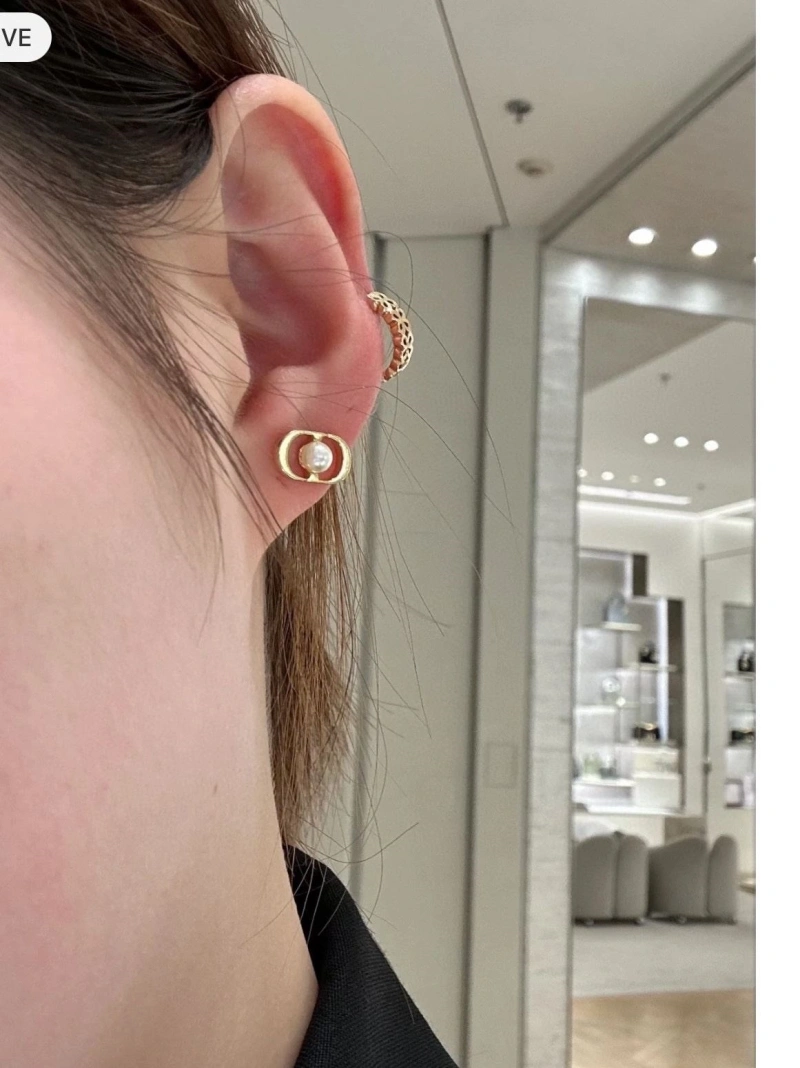Christian Dxxr Earrings BestValue 294872
