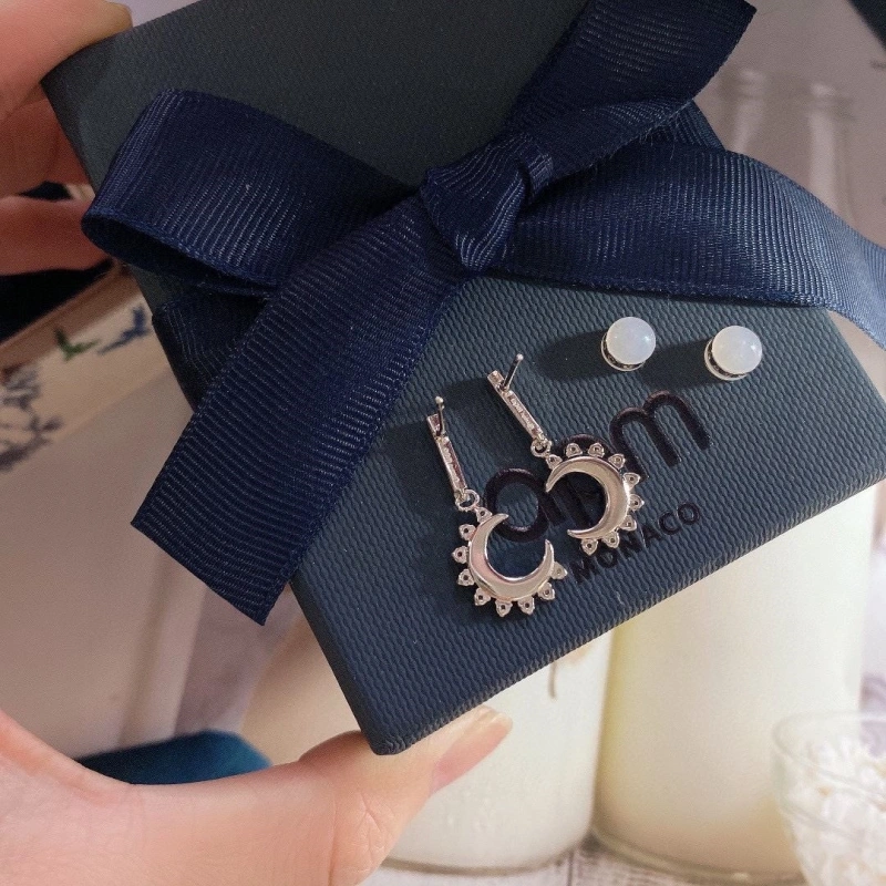 Sleek Axm Earrings 281693