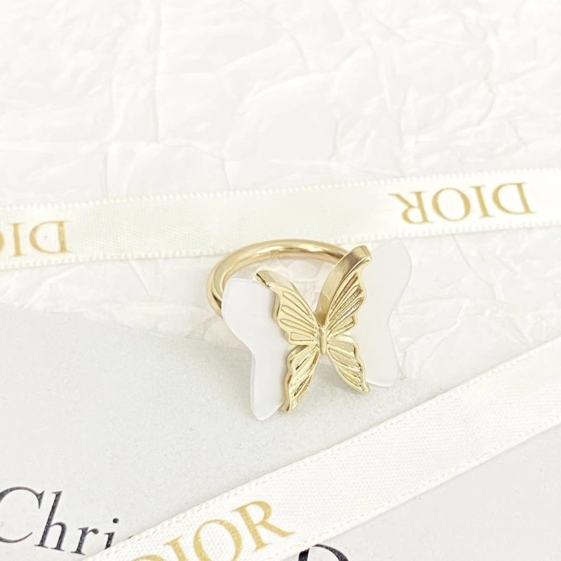 Christian Dxxr Earrings Affordable 294851