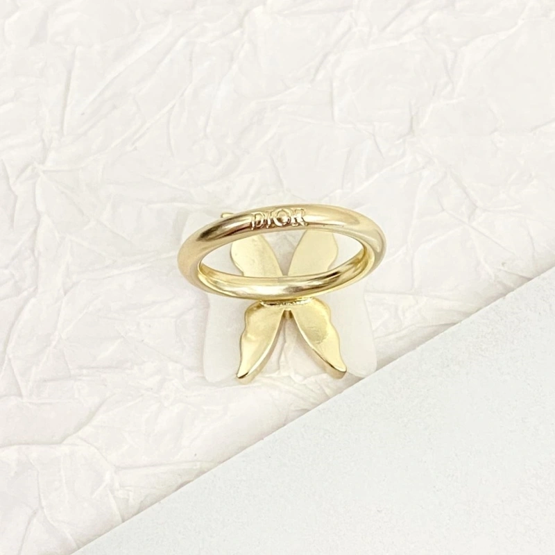 Christian Dxxr Earrings Affordable 294851