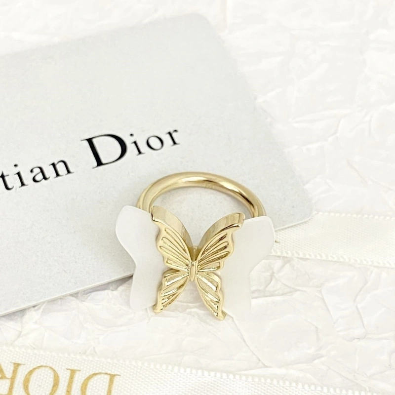 Christian Dxxr Earrings Affordable 294851