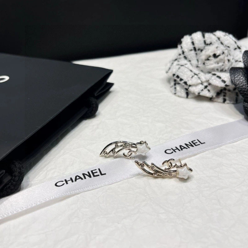 Chxnxl Earrings Compact 288873