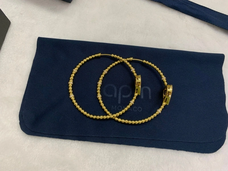 DailyWear Axm Earrings 281688