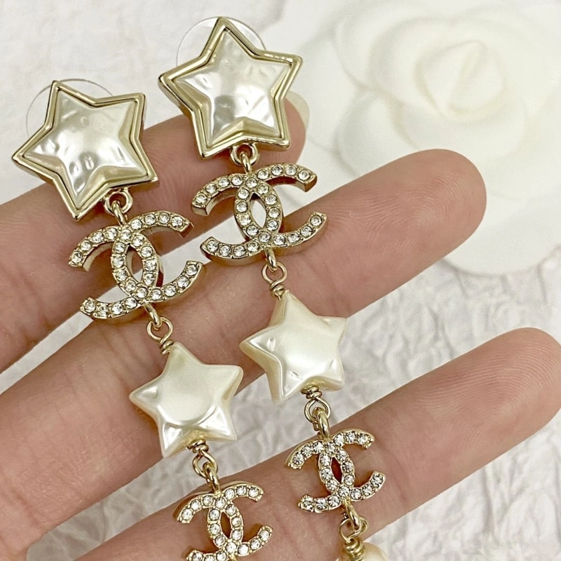 Chxnxl Earrings Practical 288831