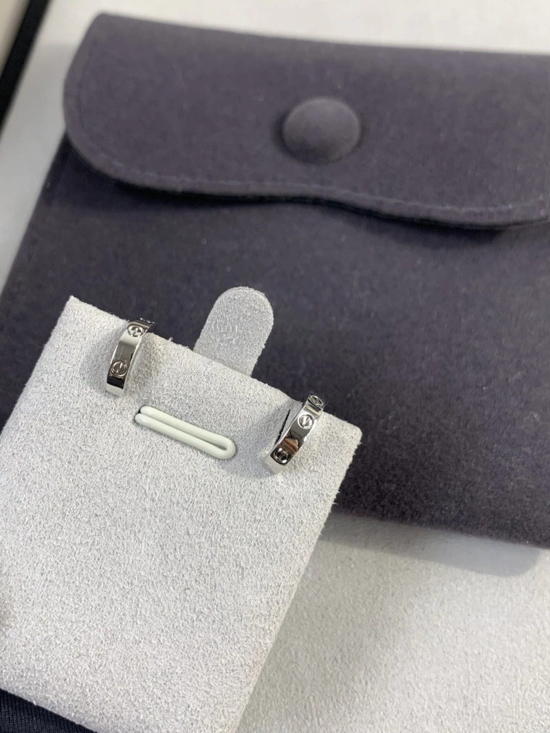 LX Earrings Durable 311024