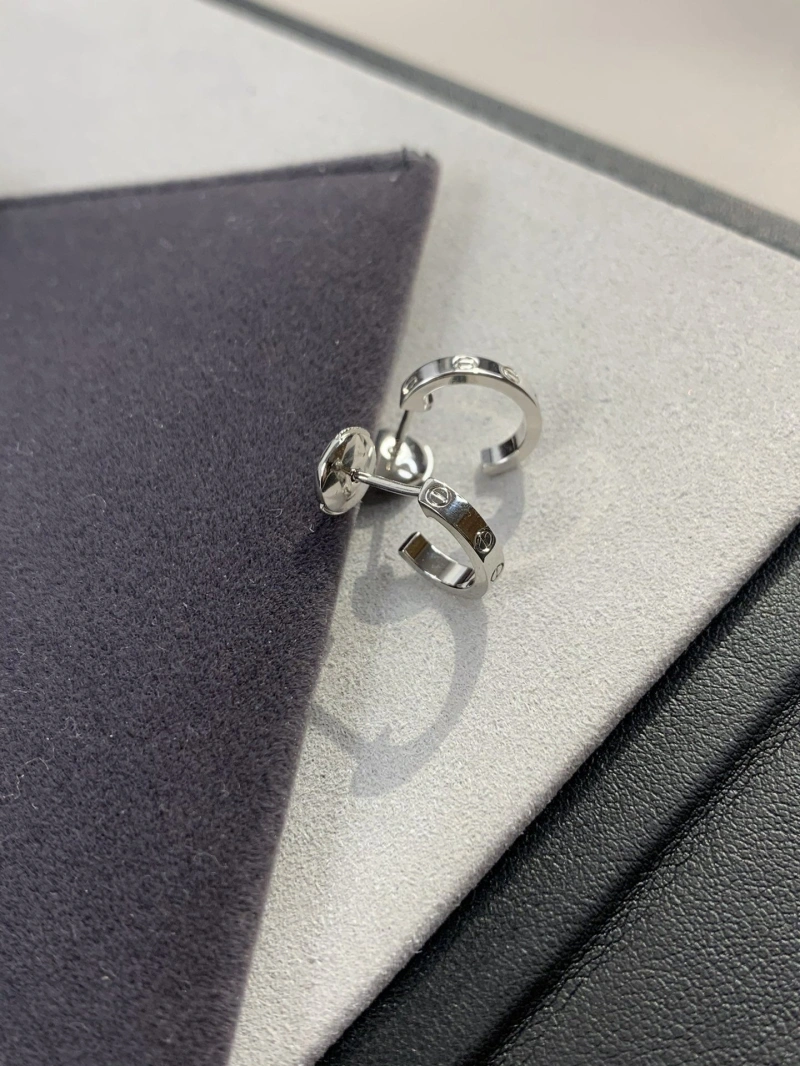 LX Earrings Durable 311024
