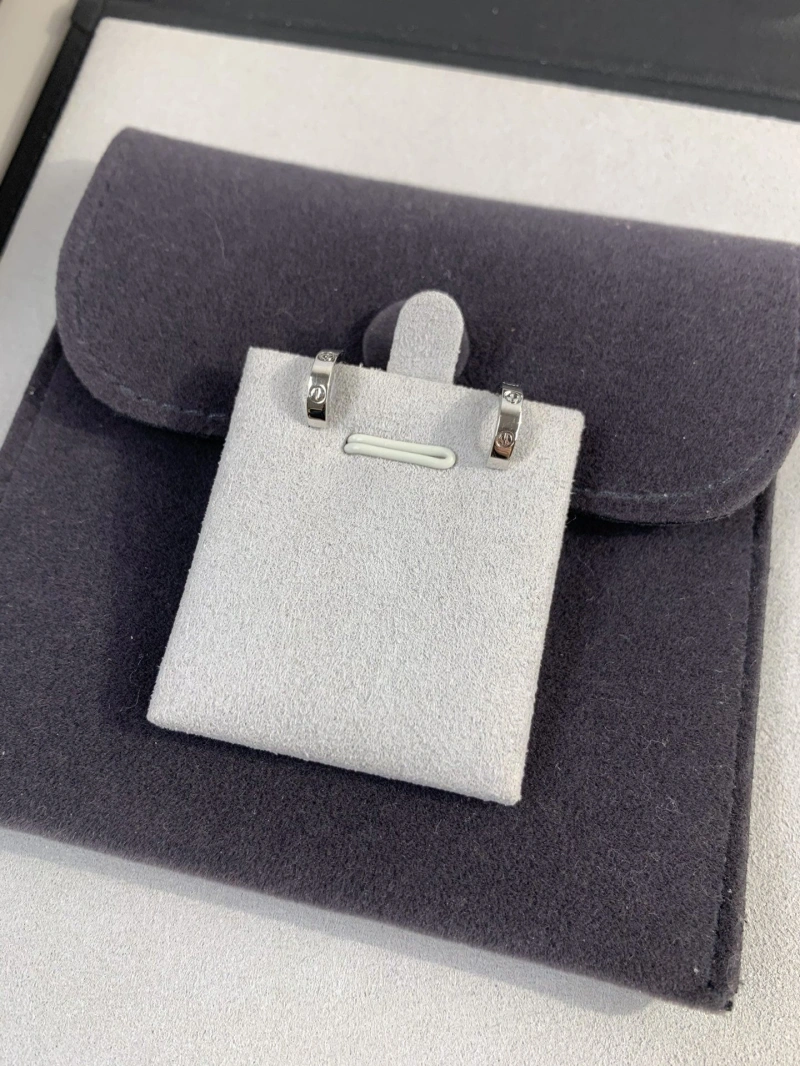 LX Earrings Durable 311024