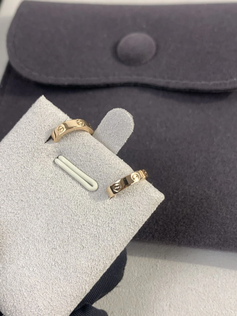 LX Earrings Trendy 311022