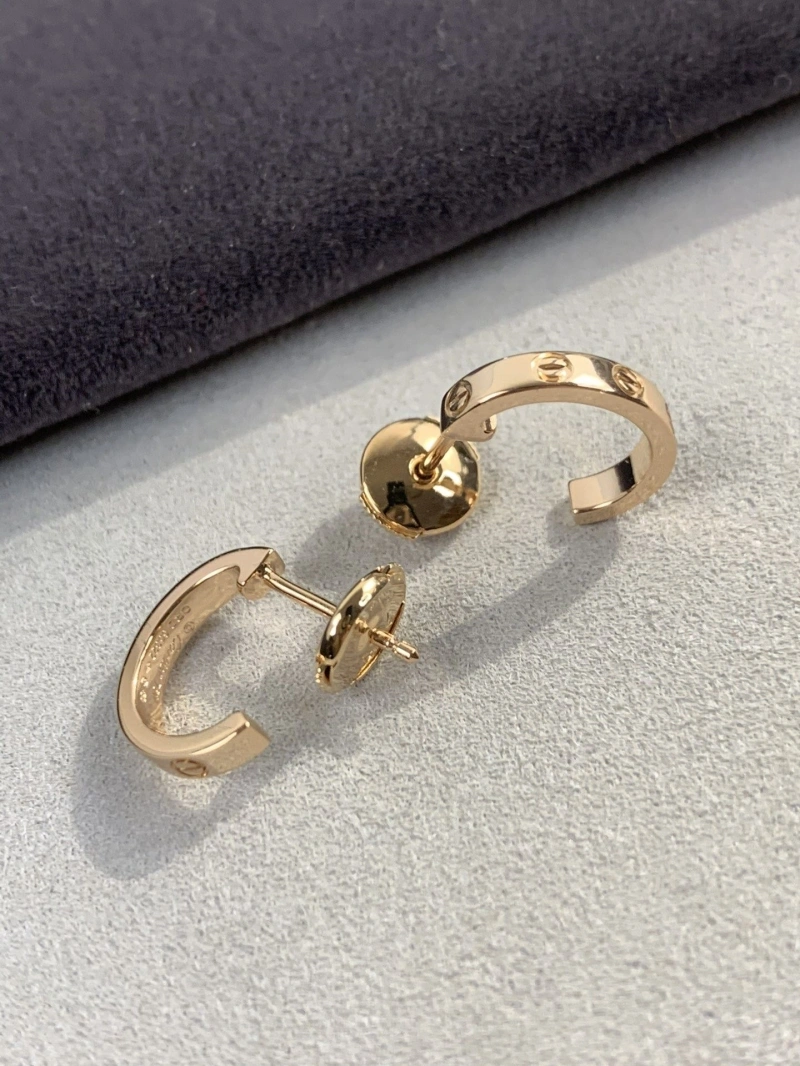 LX Earrings Trendy 311022