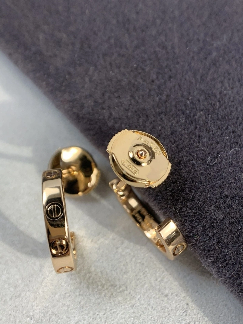 LX Earrings Trendy 311022