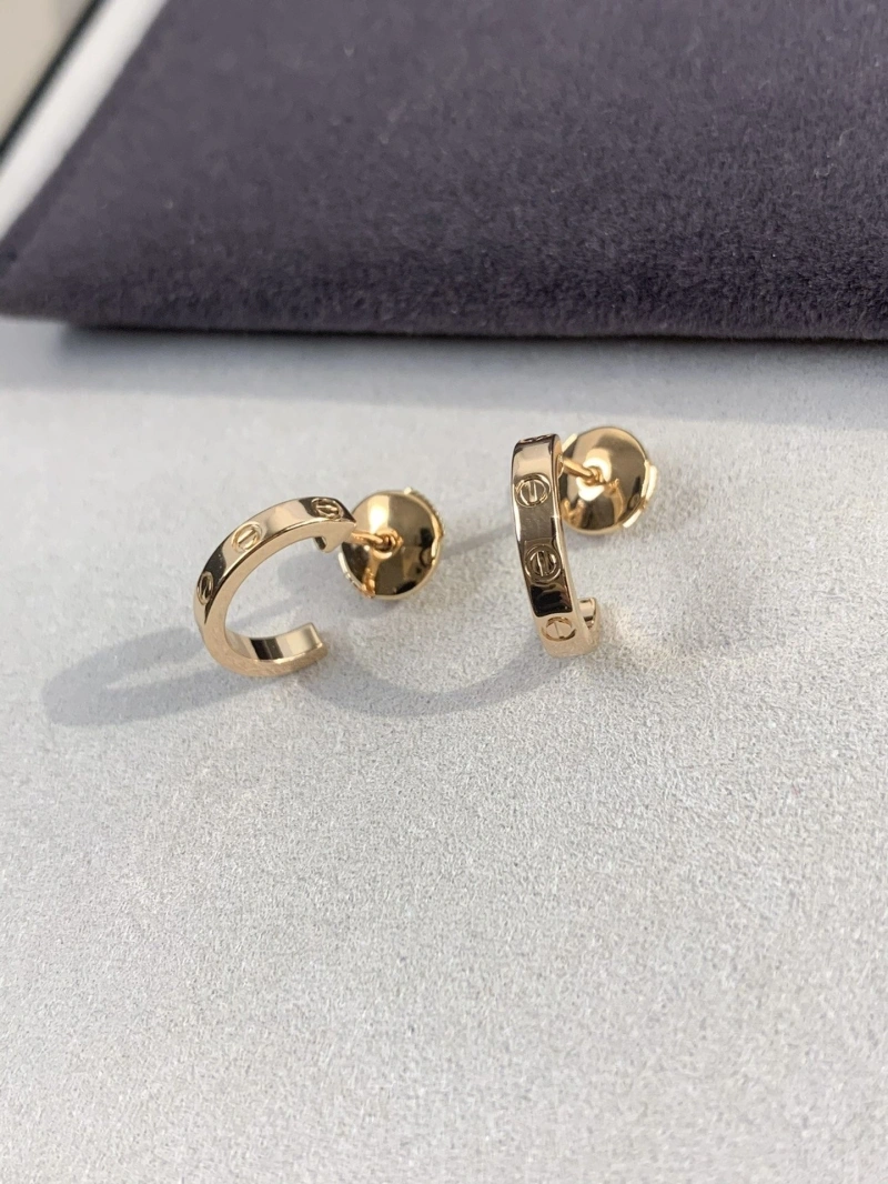 LX Earrings Trendy 311022