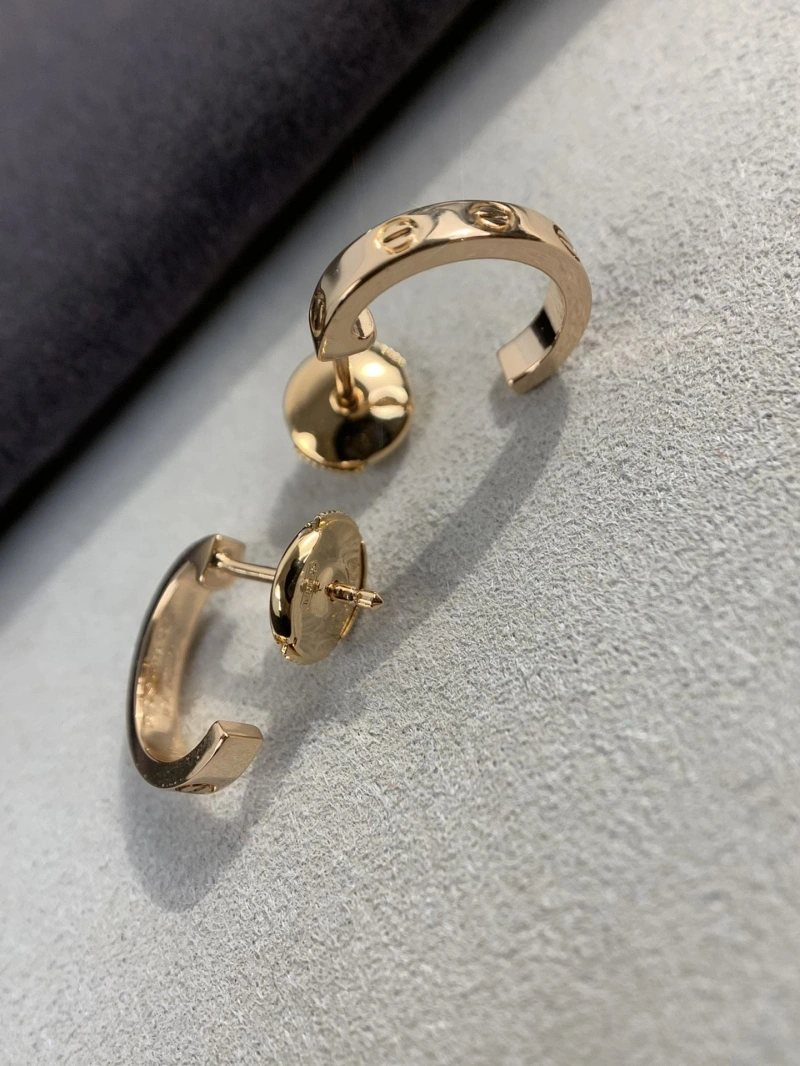 LX Earrings Trendy 311022