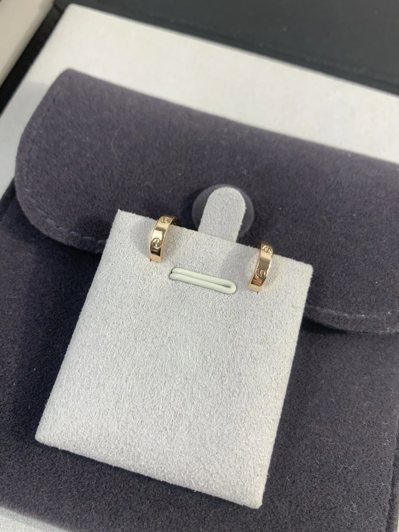 LX Earrings Trendy 311022