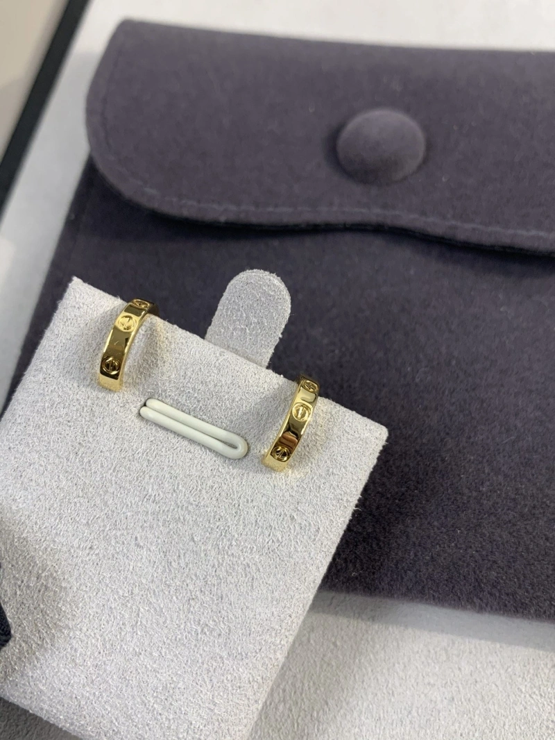 LX Earrings Trendy 311022