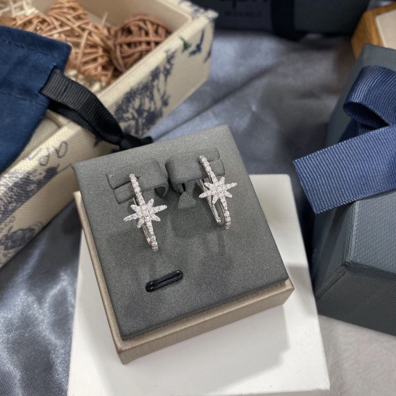 NewStyle Axm Earrings 281672