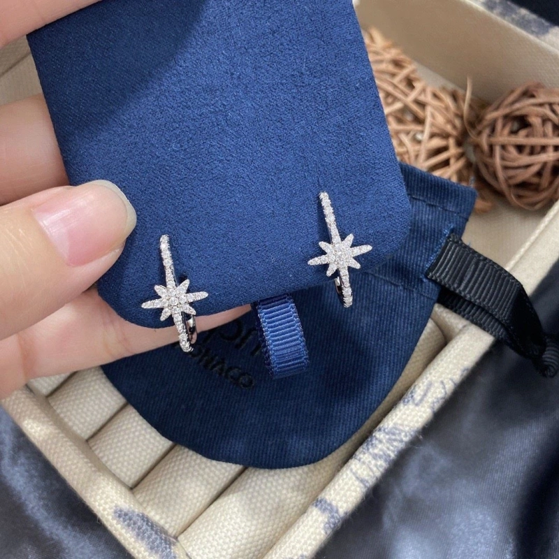 NewStyle Axm Earrings 281672