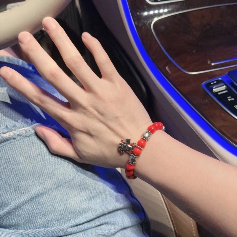 LX Bracelets EyeCatching 311140