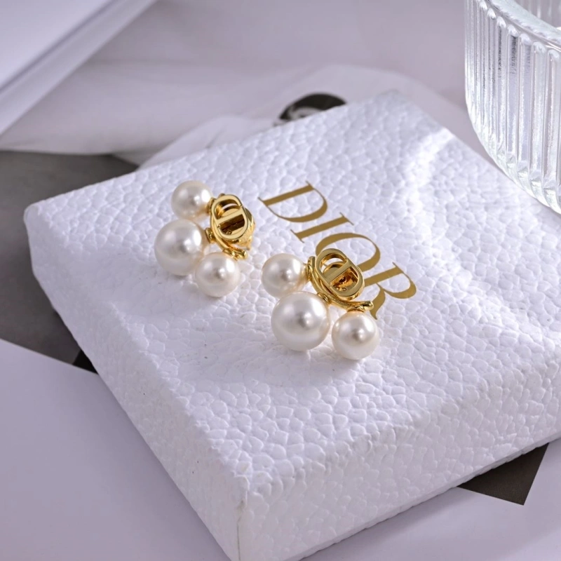 Christian Dxxr Earrings Affordable 294824