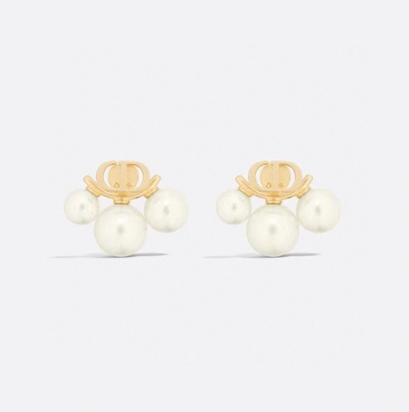 Christian Dxxr Earrings Affordable 294824
