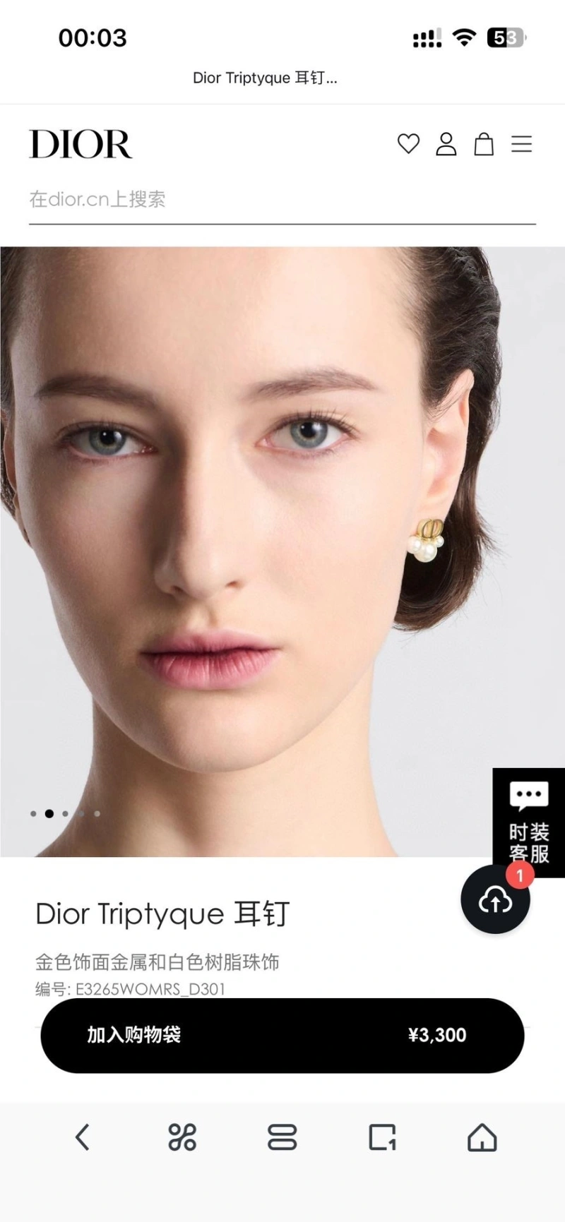 Christian Dxxr Earrings Affordable 294824