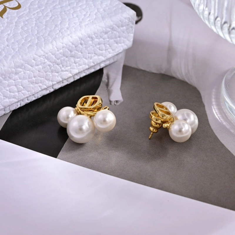 Christian Dxxr Earrings Affordable 294824