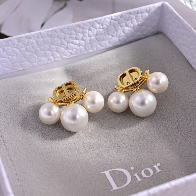 Christian Dxxr Earrings Affordable 294824