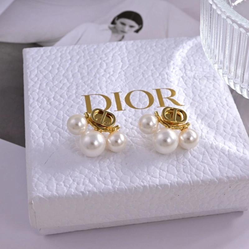 Christian Dxxr Earrings Affordable 294824