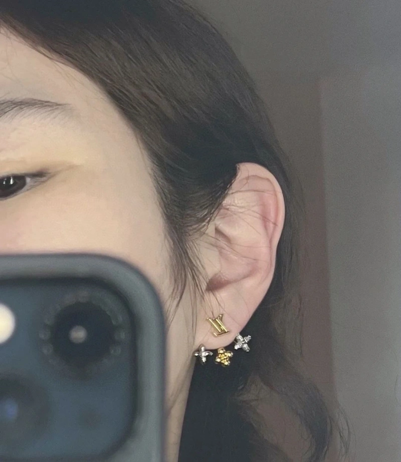 LX Earrings Vibrant 311018