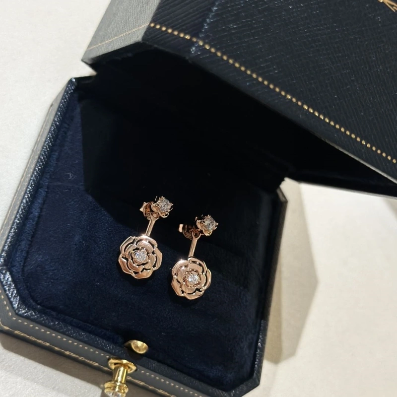 Chxnxl Earrings ModernLook 288728
